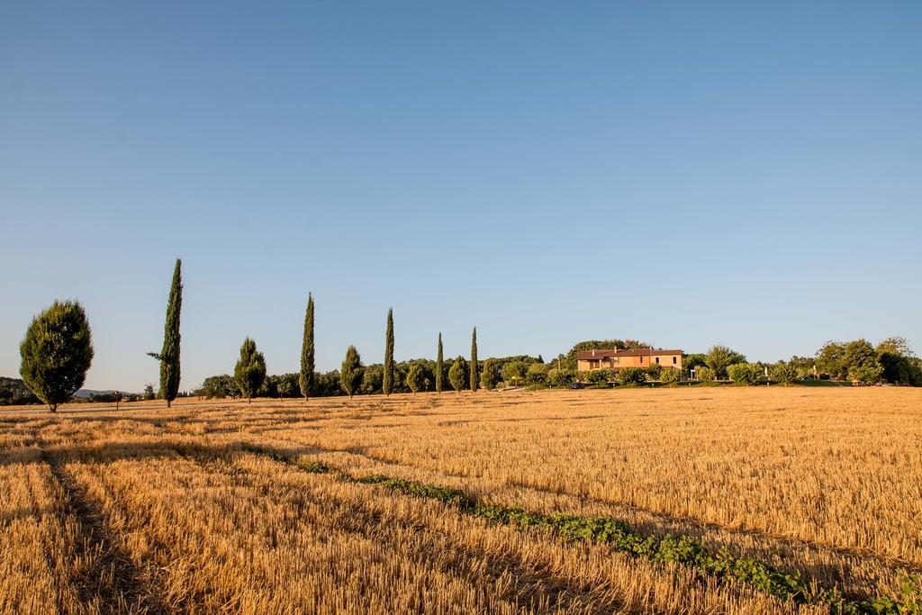 Agriturismo Il Tiro * Castel del Piano (Perugia)